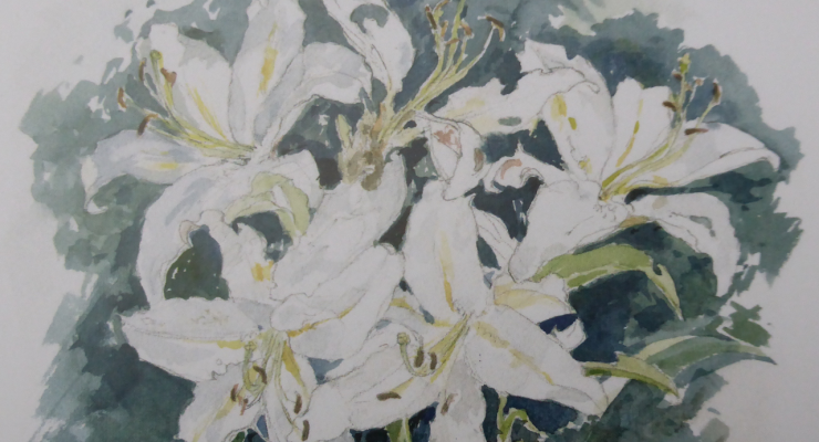vit lilja liljedoft bukett trädgård