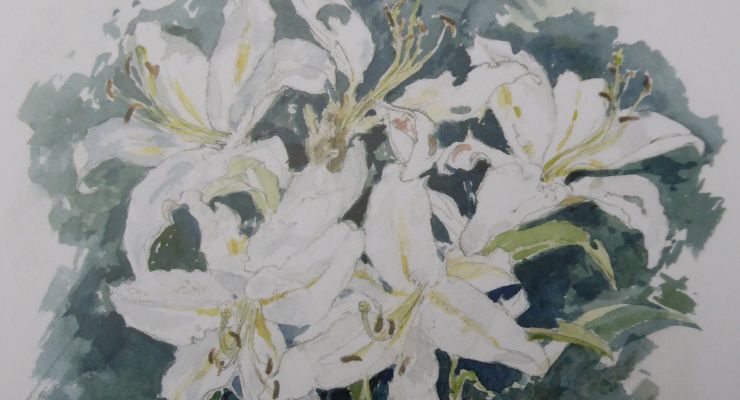 vit lilja bukett trädgård liljedoft